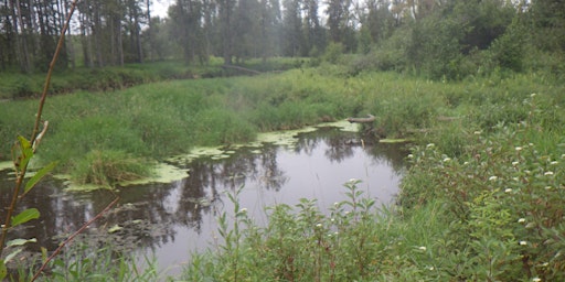 Image principale de 2024 Wetland Assessment Course