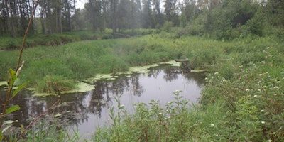Imagen principal de 2024 Wetland Assessment Course