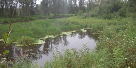 2024 Wetland Assessment Course