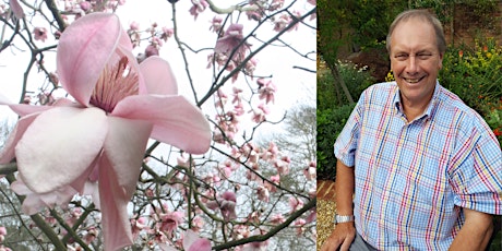 Magnolia Week Lecture: Magnolia Introductions from the UK  and Europe
