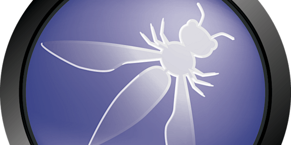 OWASP Dublin and IISF - NCSC and DNS