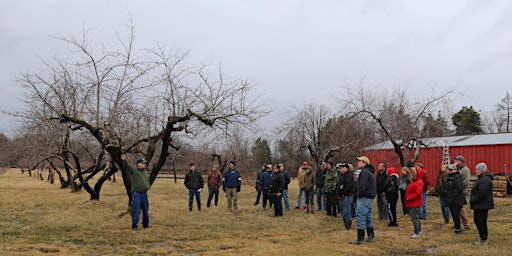 Fruit Tree Pruning Workshop for Backyard Growers
