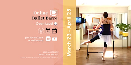 Ballet Barre (Online)