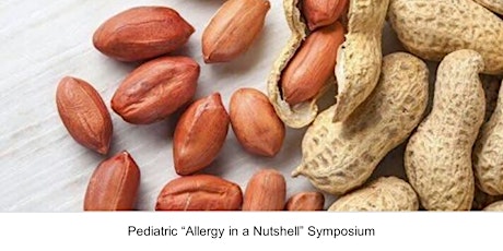 “Allergy in a Nutshell – New Approaches for Old Problems” Symposium