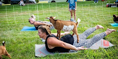 Imagem principal do evento Goat yoga @ Ray Schon Park Glen Carbon