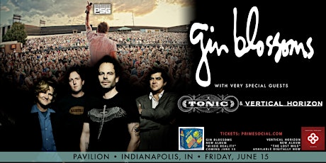 Fun In the Summer Tour ft. Gin Blossoms & More @ The Pavilion