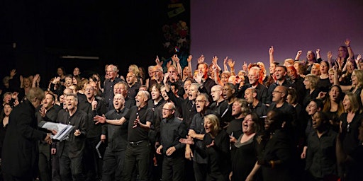 West London Choir: Come sing with us!  primärbild