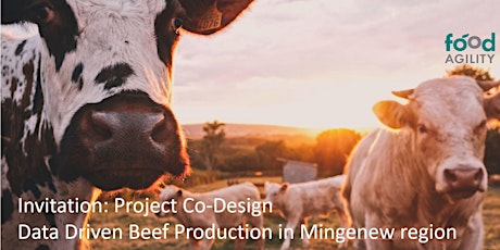 Project Co-Design: Data Driven Beef Production in the Mingenew region	 primary image