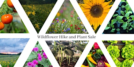 Wildflower Hike and Plant Sale primary image