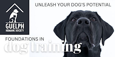 Webinar: Unleash your Dog's Potential, Foundations in Dog Training primary image