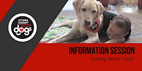 Immagine principale di Ottawa Therapy Dogs Information Session -- Tuesday,  March 7, 2023 