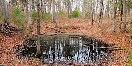 Vernal Pool & Native Tree Saturday Walk & Wade