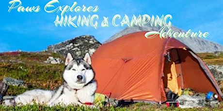 Paws Explores HIKING & CAMPING Adventure (supPAWting Homeless Hounds Animal Rescue) primary image
