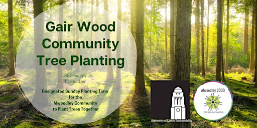 Alwoodley 2030 Gair Woods Tree Planting primary image