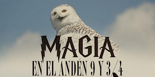 Joan Vidal Ilusionista. MAGIA EN EL ANDÉN 9 Y 3/4 (MENUTSBARRIS) Magia