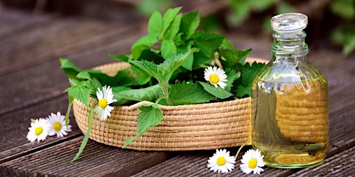 Spring Herbs, Tonics and Remedies