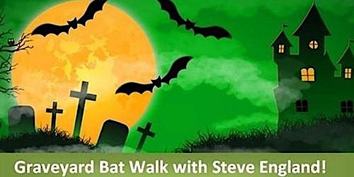 Graveyard Bat Walk with Steve England!