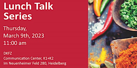 Lunch Talk with Patrick Küry on March 9th