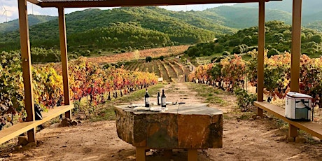 Discover Spanish Wines (Online) primary image