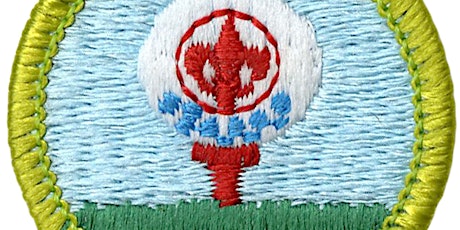 Merit Badge: Golf primary image