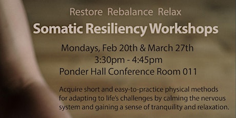 Somatic Resiliency Workshop