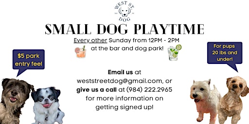 Small Dog Playtime! Every other Sunday from 12PM-2PM