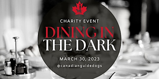 Dining in the Dark: A Sensory Experience