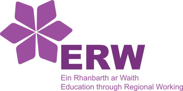 Sioe Deithiol ar gyfer Safonau Addysgu ac Arweinyddiaeth Proffesiynol / Professional Standards for Teaching and Leadership Roadshows