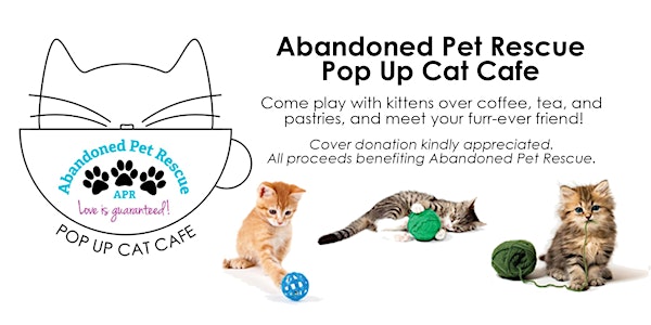 Pop Up Cat Cafe