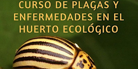 Imagen principal de Curso de Plagas en el huerto ecológico