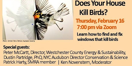 Imagen principal de Zoom: Does Your House Kill Birds?