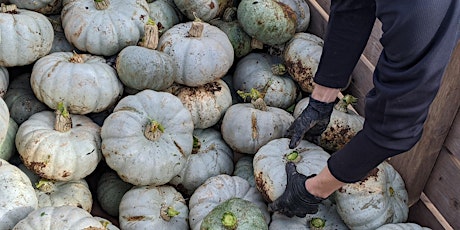 Hauptbild für Community Farmer Day - 7th October