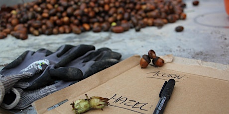 Imagen principal de Trooperstown Nursery: National Tree Giveaway Preparation (Wicklow)