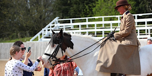 Imagem principal de The Knights of Middle England Easter Open House 2024