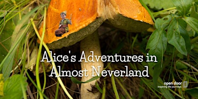 Alice’s Adventures in Almost Neverland