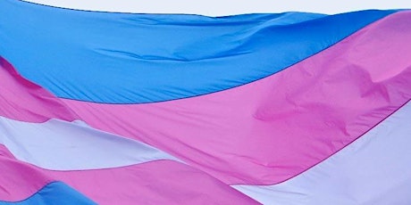 Ally Network: Call for Action Western Australia and Gender Recognition for Trans people. primary image
