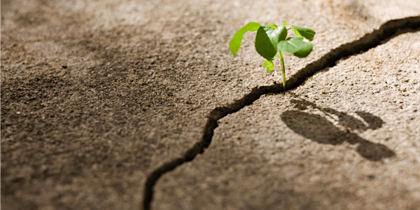 Vision Workshop - Unleashing your success