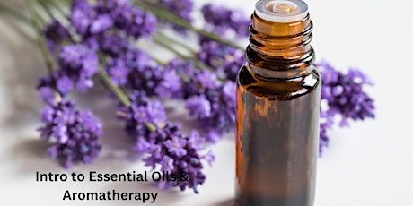 Get Crafty with Apt. 6 : Intro to Essentials Oils & Aromatherapy primary image