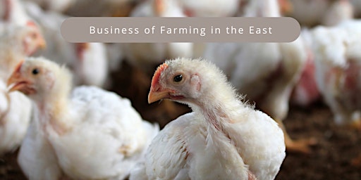 Business of Farming in the East primary image