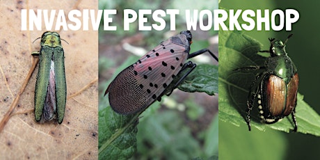 Invasive Pest Workshop primary image