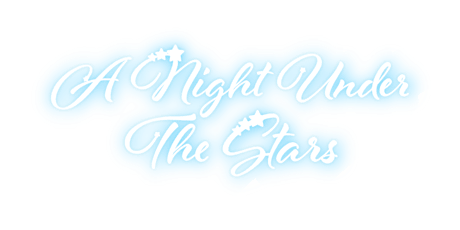 A Night Under The Stars Fashion Show
