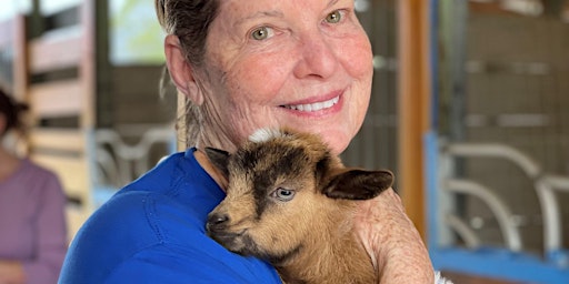 Imagem principal do evento Baby Goats Snuggle, Piglets Social, Farm Animals Feeding, Ranch Tours