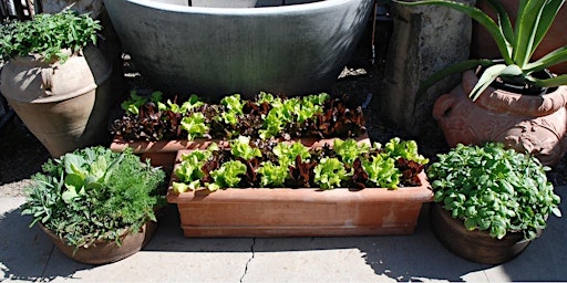 Perennial Edible Gardening