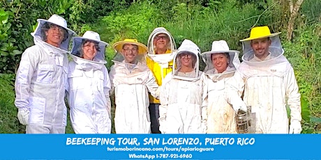 Beekeeping Tour
