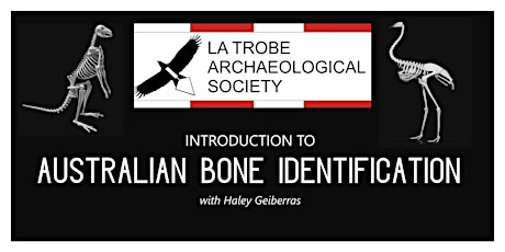 Introduction to Australian Bone Identification w/ Haley Geiberras primary image