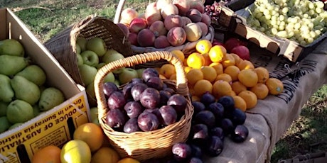  A Kitchen Table Conversation: Drop In for a chat at The Community Grocer Pakenham primary image