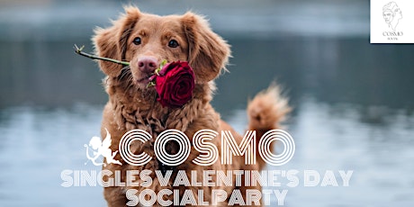 COSMO Singles 'Valentine's Day' Social Party