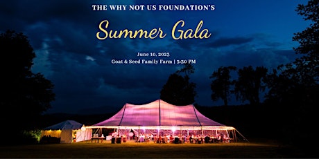 The Why Not Us Foundation's Outdoor Summer Gala