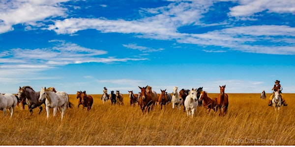 Roadtreking at the Flying W Ranch