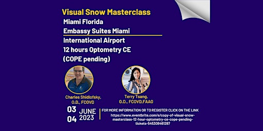 Visual Snow Masterclass - 12 Hour Optometry CE (COPE Approved) primary image